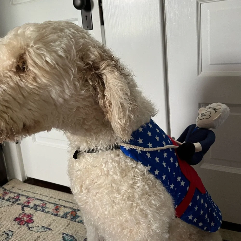 Funny Dog Harness